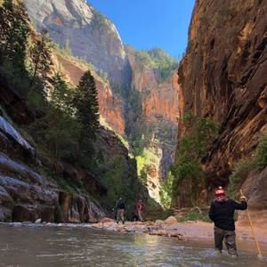 Meet your Posher, Jackie